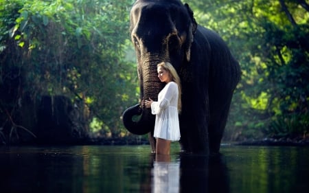 Elephant and the girl - animal, nature, elephant, model