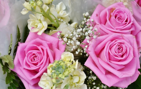 Beautiful Flowers! - roses, flowers, nature, beautiful