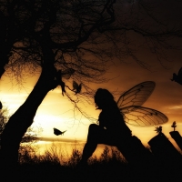 fairies at dusk