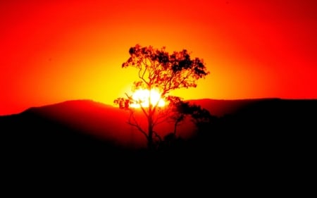 The Sun - panorama, mountains, wood, sky