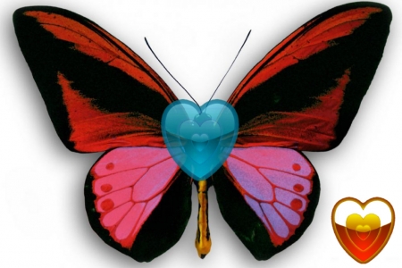 Mariposa