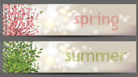 Spring Summer Notes - flowers, bokeh, summer, spring, notes, leaves