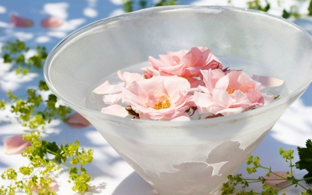 Bowl of Flowers - flowers, petals, pink, bowl