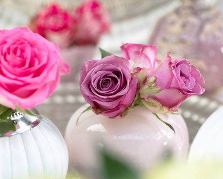 Beautiful Roses - roses, bloom, flowers, jar