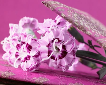 Beautiful Flowers - bloom, flowers, petals, pink