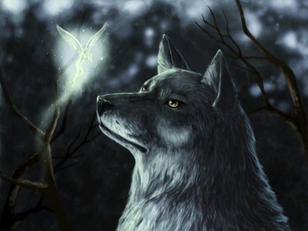 'A magical moment'..... - forest, spirit, wolf, mystical