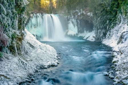 Winter Waterfall - winter, tree, natur, waterfall