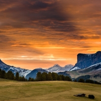 mountain meadow under orange sunset