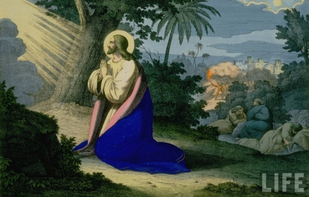 Jesus praying - passsion, christ, jesus, gospel, pray