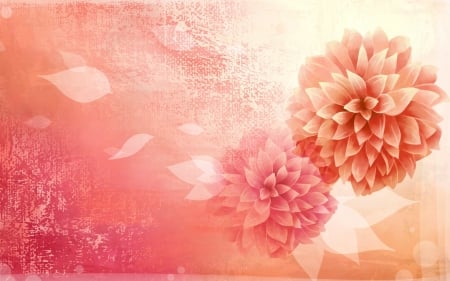 Dahlias - flowr, pink, card, orange, texture, dahlias