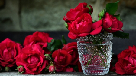 Red Roses FC - wide screen, flower, rose, beauty, beautiful, photo, love, still life, romance, photography, floral