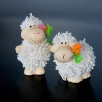 Two little sheep