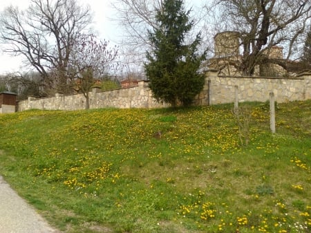 Monastery in Serbia - spring, Serbia, wild flower, monastery