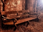 old bench