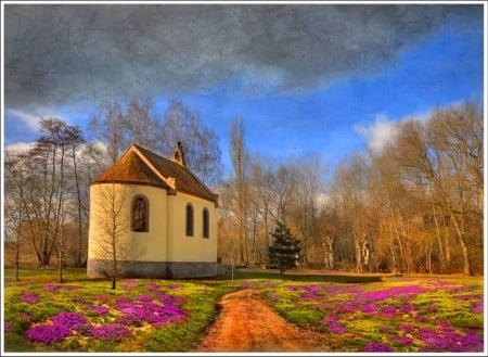 â™¥ - flowers, sky, spring, nature