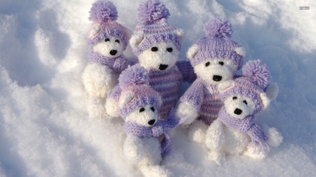 white teddy bears in the snow