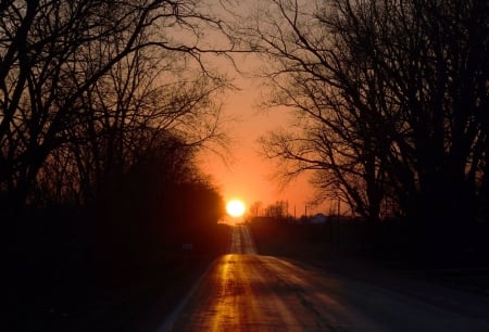 A Picturesque Equinox Sunset - nature, fun, forest, cool, sunset