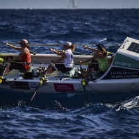 Yorkshire Rows on a wave