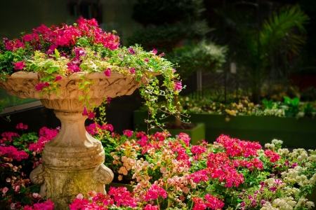 Garden flowers - pretty, fountain, pond, beautiful, garden, plants, lovely, flower