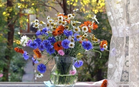 Welcome Spring - flowers, vase, colors, wild