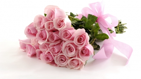 Pink Roses - rose, love, pink, beautiful