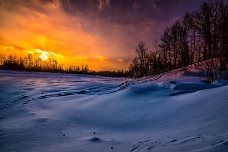 Winter Sunset - sky, trees, snow, sun, colors