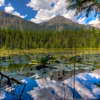 Glacier National Park, Montana