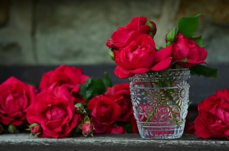 Roses! - nature, roses, flower, red