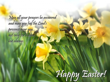 Easter Poem F - Sunday, occasion, beautiful, photography, March, daffodils, photo, Easter, wide screen, holiday