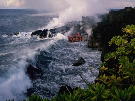 SCENERY 1 - nature, scenery, reef, rock, plants, sea, ocean, cral