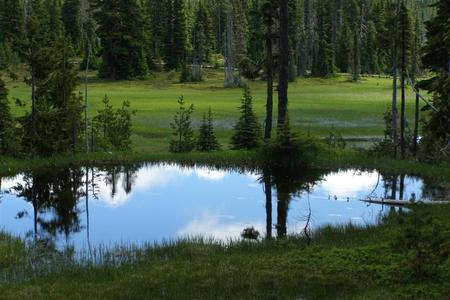 Paradise Meadows - nature, alpine, lake, meadow, paradise, park