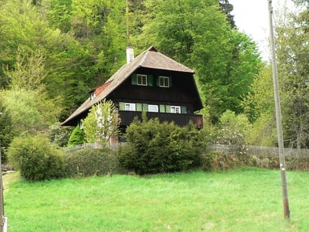 house in the black forest - building, green, house, black forest, germany