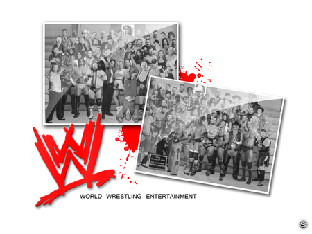 WWE ROSTER