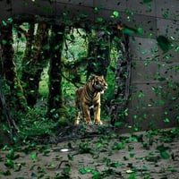 tiger