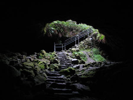 Entrance to Ape Cave - stairs, mt st helens, ape cave, lava tube, darkness, moss, cave