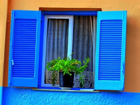 Blue window