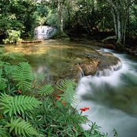 Nice Forest Waterfall And River