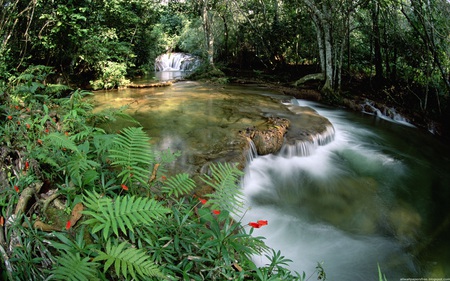 Nice Forest Waterfall And River - nature, forest, waterfall, river