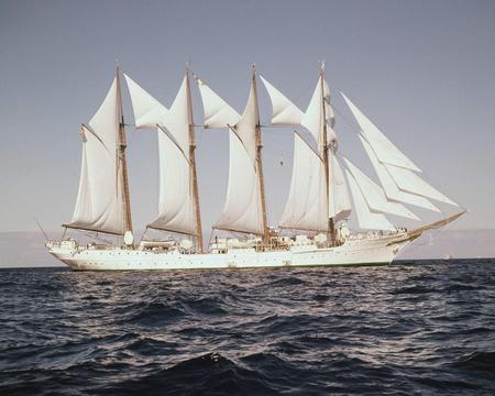 the white ship - ocean life, tall ship, sails