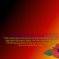 rememberence to all who have fallen