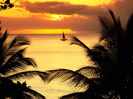 St.Lucia Sunset - sky, beach, caribbean sea, paradise, palms, sunset, nature, santa lucia, ship