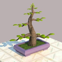 my 3D bonsai drawing