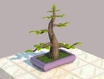 my 3D bonsai drawing