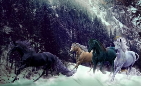 Horses - animal, art, horse, run