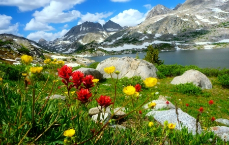 Mountainscape - beautiful, landscape, spring, grass, meadow, freshness, mountain, stones, wildflowers, lake, sky, rocks