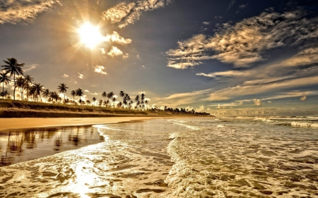 Beach Sunset - nature, trees, clouds, sunset, sea, palm, waves