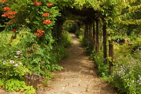 garden - flowers, nature, garden, road, spring, park