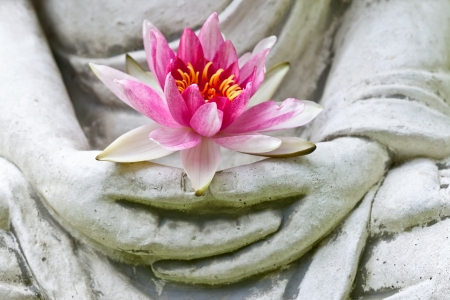 Lotus - lotus, flower, pink, statue, hand, stone