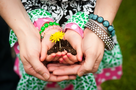 Life - yellow, flower, pink, jewel, child, life, black, hand, green, woman, mother