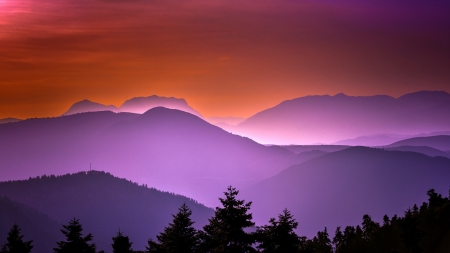 Evening in mountains - amazing, evening, foggy, sunrise, violet, nice, putple, fog, beautiful, colors, orange, silhouettes, tree, black, pines, nature, sunset, awesome, shadows, mountains